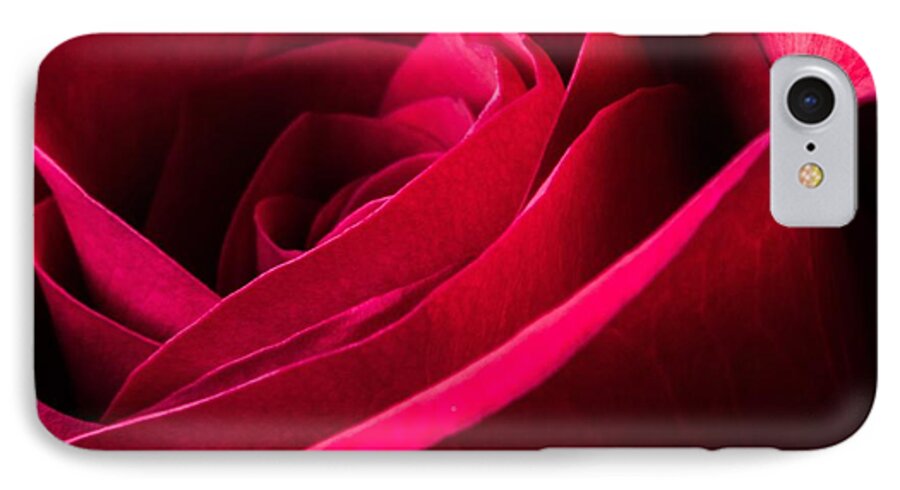 Flower iPhone 8 Case featuring the photograph Rose of Velvet by Tammy Ray