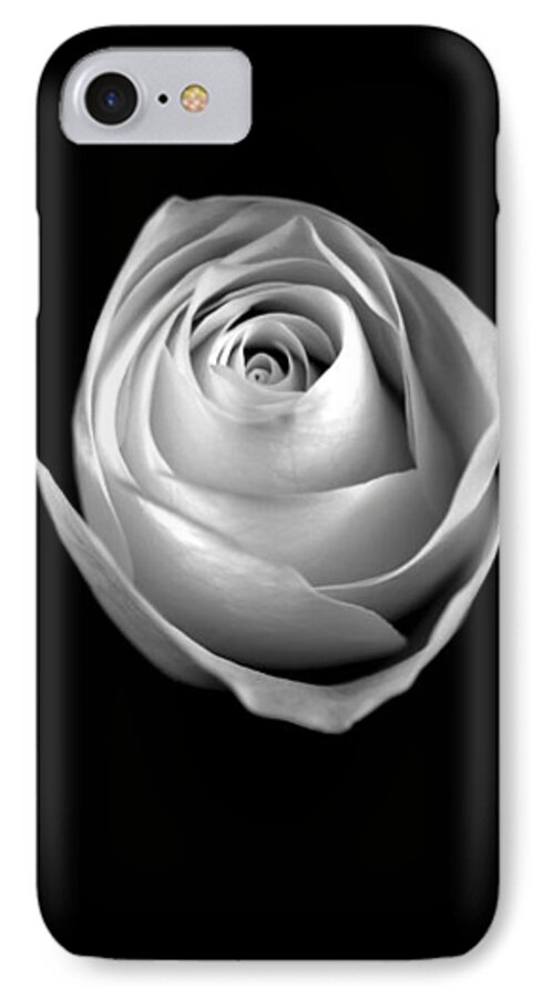 Roses iPhone 8 Case featuring the photograph Simple Elegance by Elsa Santoro