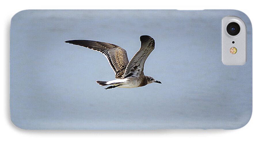Seagull iPhone 8 Case featuring the photograph Skimming Seagull by Kenneth Albin