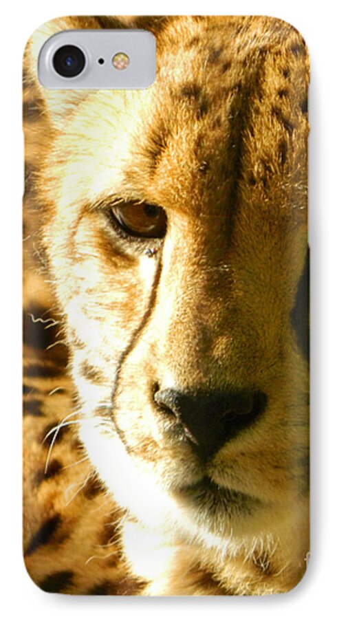Sleepy Cheetah Cub iPhone 8 Case featuring the photograph Sleepy Cheetah Cub by Emmy Vickers