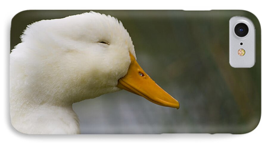 Pekin iPhone 8 Case featuring the photograph Smiling Pekin Duck by Tara Lynn