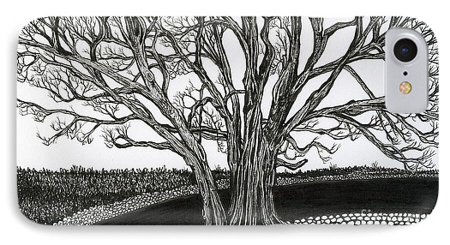 Old Tree iPhone 8 Case featuring the drawing Solitary by Danielle Scott