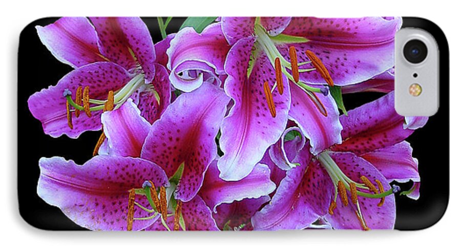 Cutout iPhone 8 Case featuring the photograph Stargazer Lily Cutout by Shirley Heyn