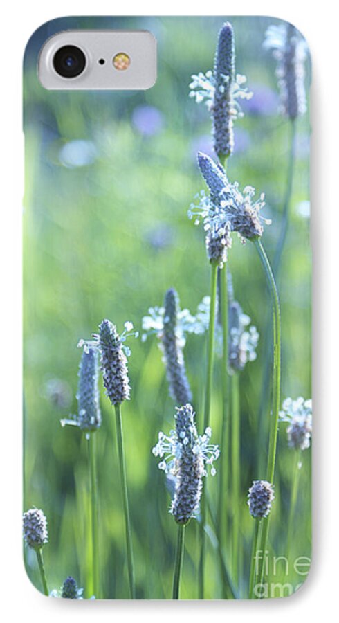 Plants iPhone 8 Case featuring the photograph Summer Charm by Aimelle Ml
