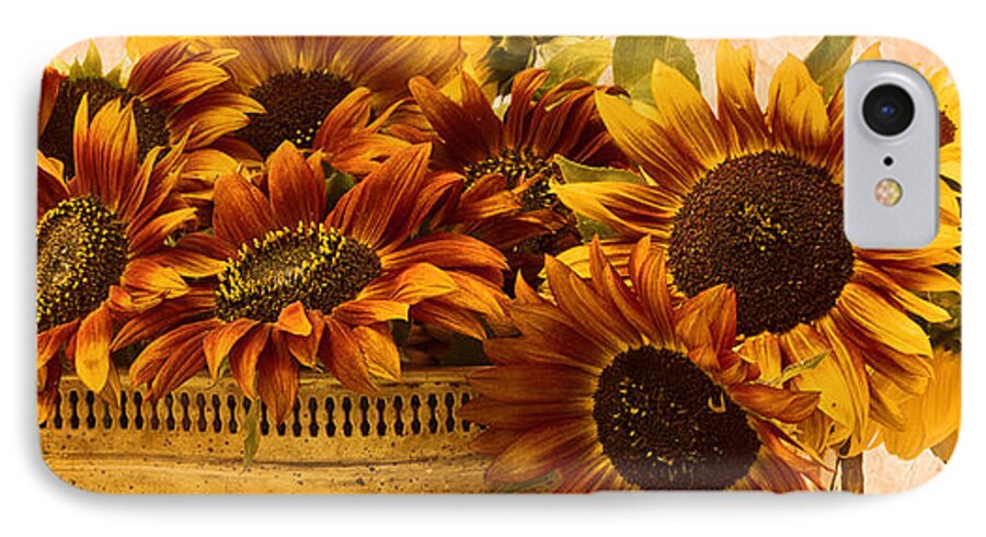 Sunflowers iPhone 8 Case featuring the photograph Sunflowers Galore by Sandra Foster
