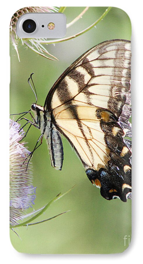 Christian iPhone 8 Case featuring the photograph Swallowtail Delight by Anita Oakley