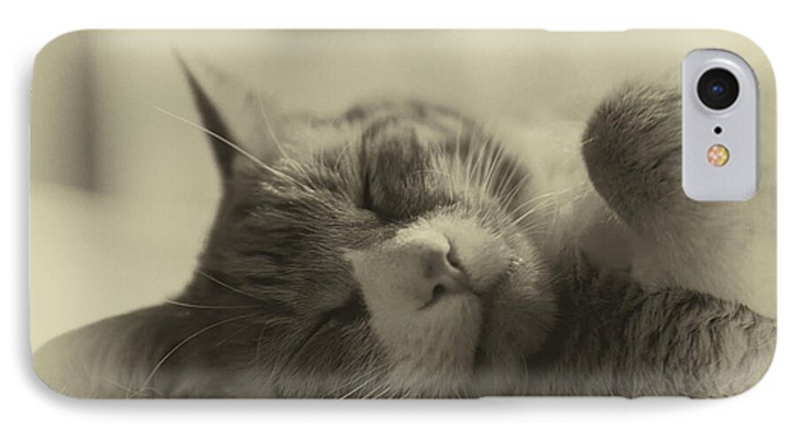 Cat iPhone 8 Case featuring the photograph Sweet Dreams by Nicki McManus