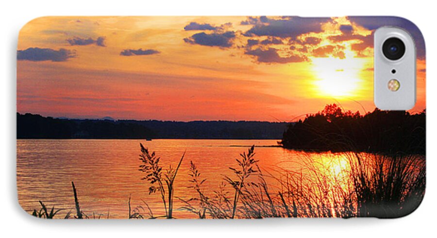 Smith Mountain Lake Sunset iPhone 8 Case featuring the photograph Tall Grass Sunset Smith Mountain Lake by The James Roney Collection