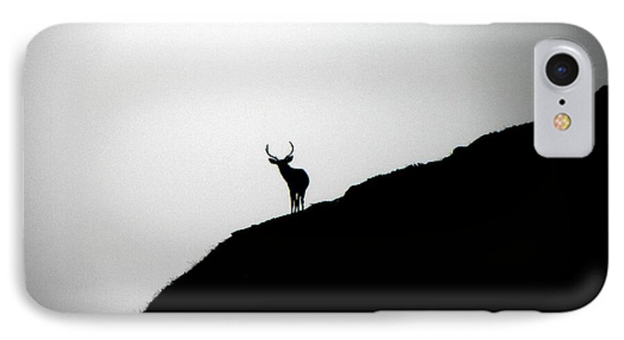 Landscape iPhone 8 Case featuring the photograph The Buck II by Elizabeth Hoskinson