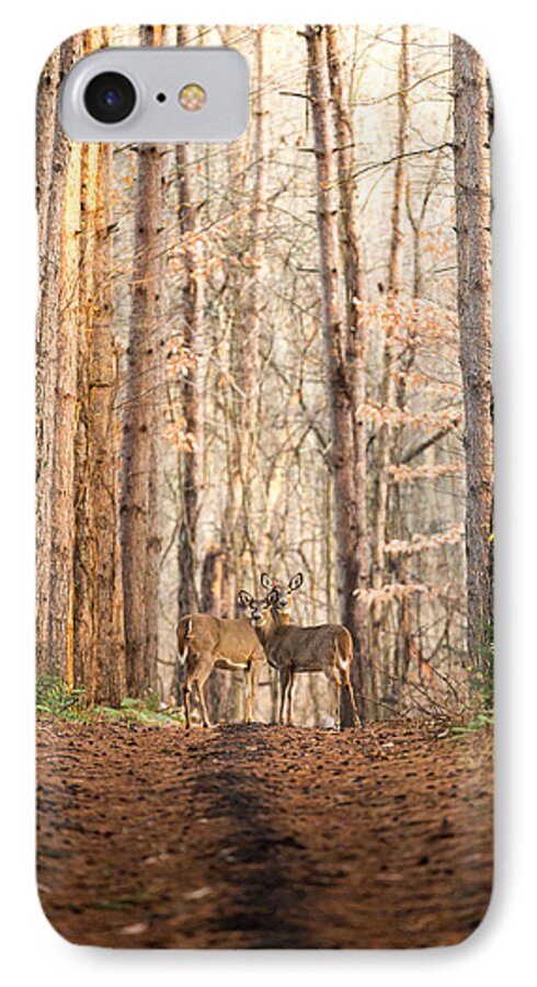Deer iPhone 8 Case featuring the photograph The Gift by Everet Regal
