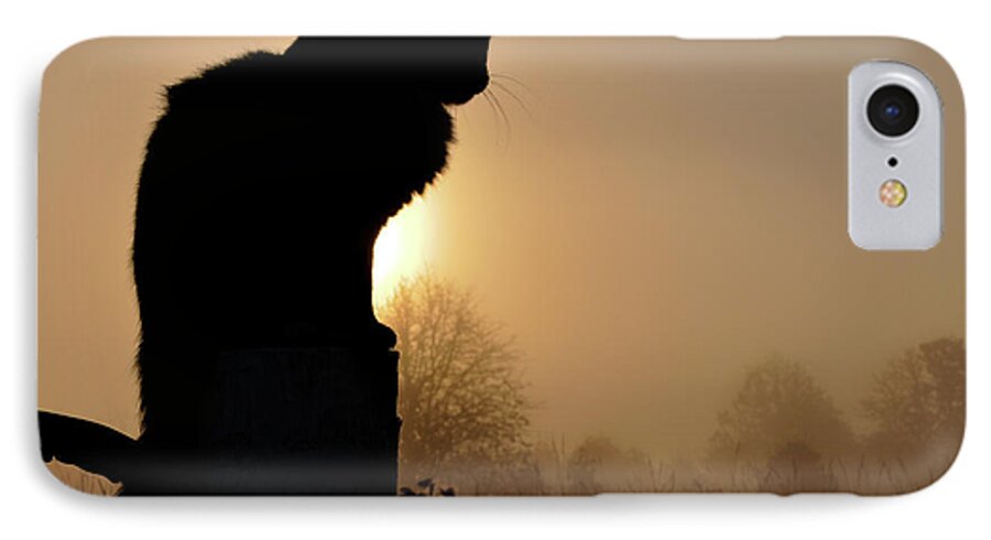Cat iPhone 8 Case featuring the photograph The Supreme Surveyor by Sari ONeal