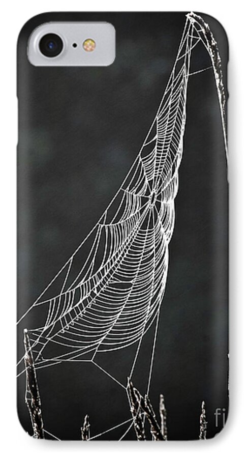 Web iPhone 8 Case featuring the photograph The Web by Tom Cameron