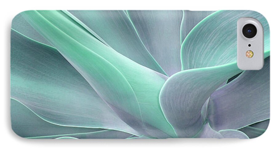 Agave iPhone 8 Case featuring the photograph Tinted Agave Attenuata Abstract by Bel Menpes