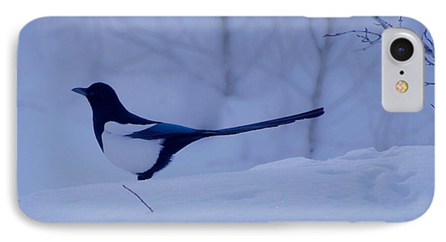Magpie iPhone 8 Case featuring the photograph Tom by Eric Tressler
