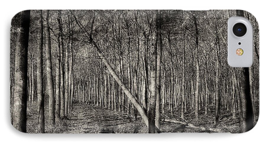 B&w iPhone 8 Case featuring the photograph Trees by Roberto Pagani