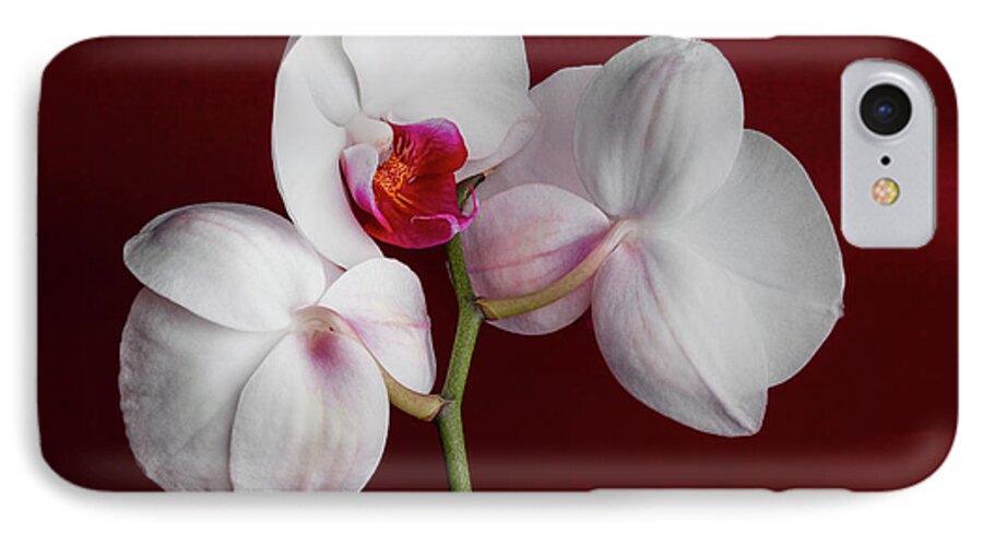Flower iPhone 8 Case featuring the photograph Trio of Orchids by Tom Mc Nemar