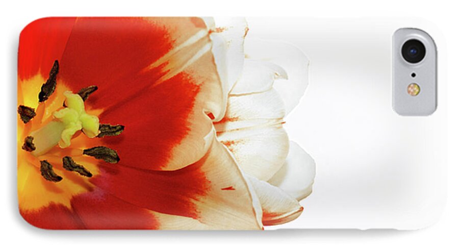 Digital Art Photography iPhone 8 Case featuring the photograph Tulip statement by Afrodita Ellerman