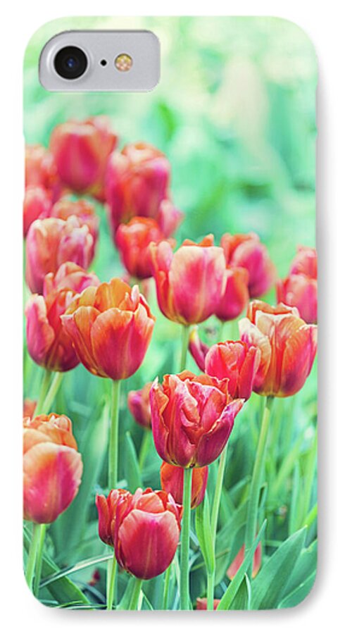 Amsterdam iPhone 8 Case featuring the photograph Tulips in Amsterdam by Melanie Alexandra Price