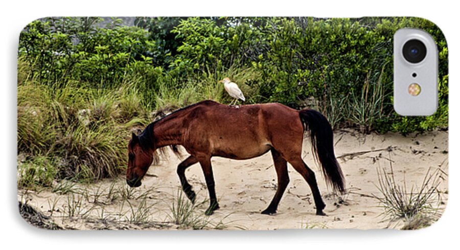 Horses iPhone 8 Case featuring the photograph Turn Right at the Next Bush by Edward Sobuta