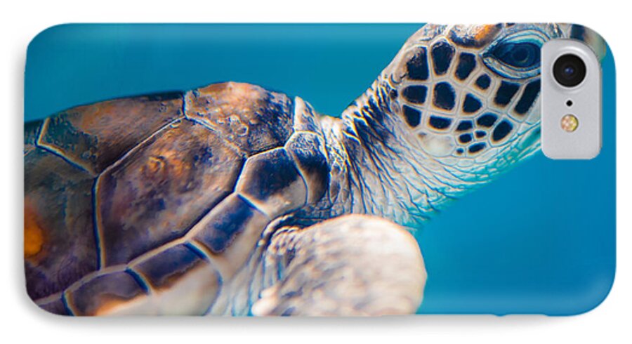 Hawaii iPhone 8 Case featuring the photograph Turtle town by Ian Sempowski