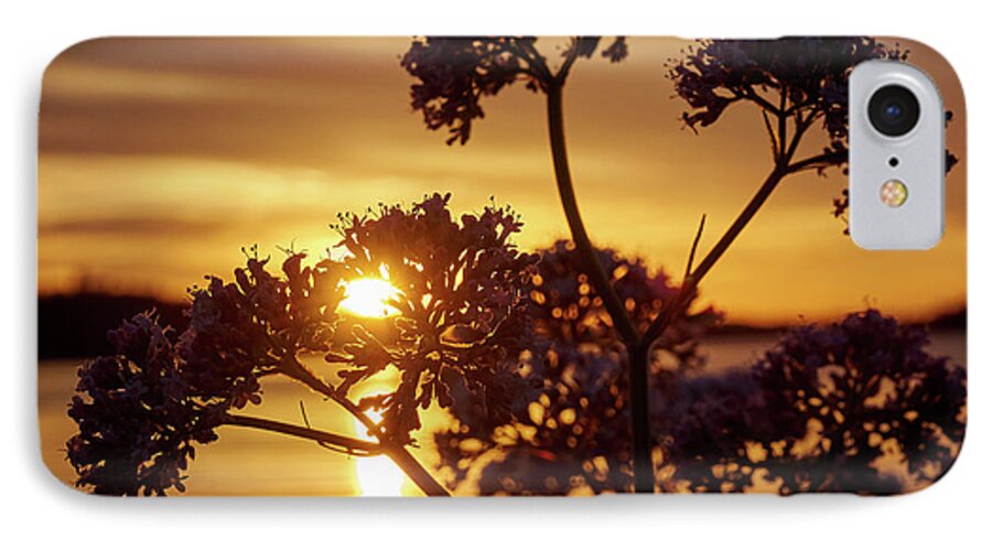 Finland iPhone 8 Case featuring the photograph Valerian sunset by Jouko Lehto