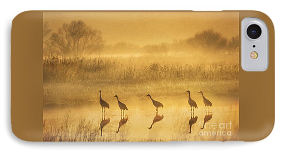 Animal iPhone 8 Case featuring the photograph Waiting by Alice Cahill