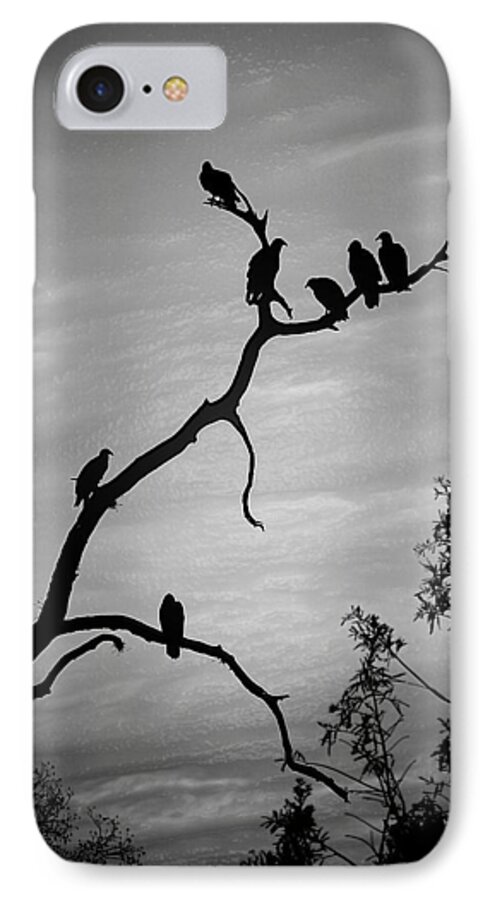 Vultures iPhone 8 Case featuring the photograph Waiting by Robert Meanor