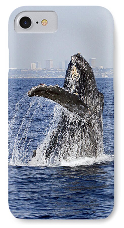 Humpback Whale iPhone 8 Case featuring the photograph Waving by Shoal Hollingsworth