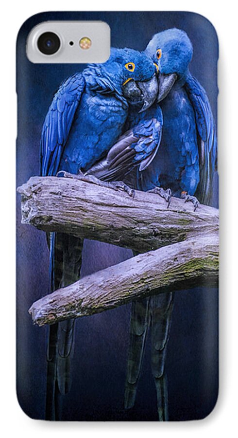 Macaw iPhone 8 Case featuring the photograph When I'm Feeling Blue by Brian Tarr