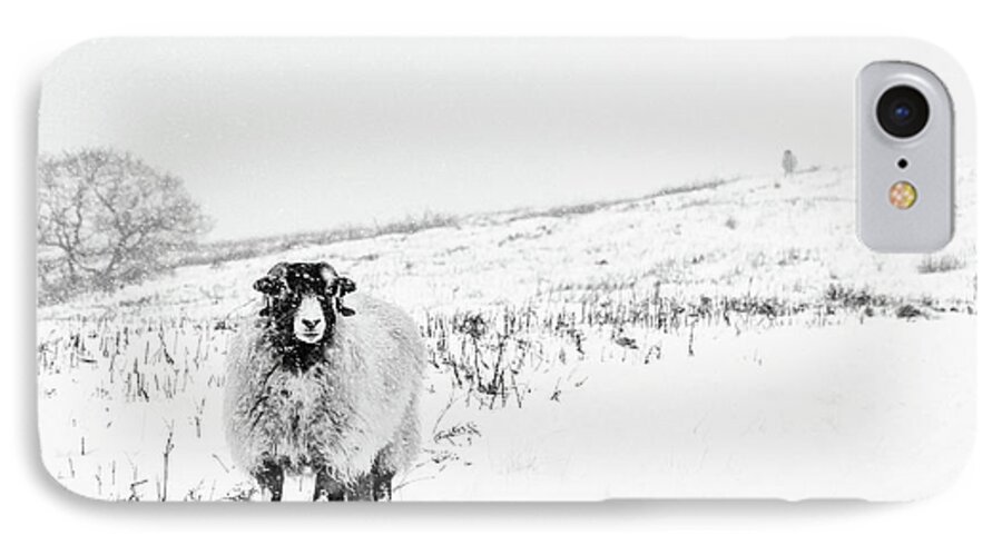 Swaledale iPhone 8 Case featuring the photograph Which way is South? by Janet Burdon