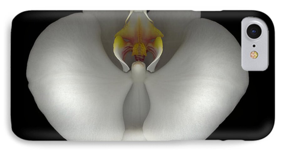  iPhone 8 Case featuring the photograph White Orchid on Black by Heather Kirk