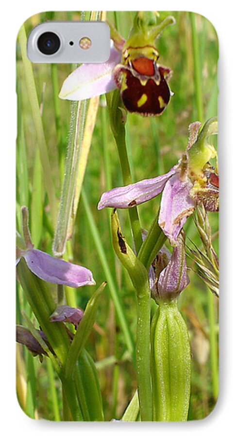 Flora iPhone 8 Case featuring the photograph Wild meadow bee orchids by Susan Baker