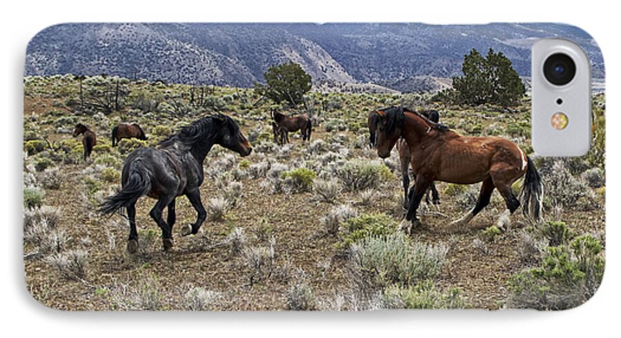 Horses iPhone 8 Case featuring the photograph Wild Mustang Stallions Fighting by Waterdancer 