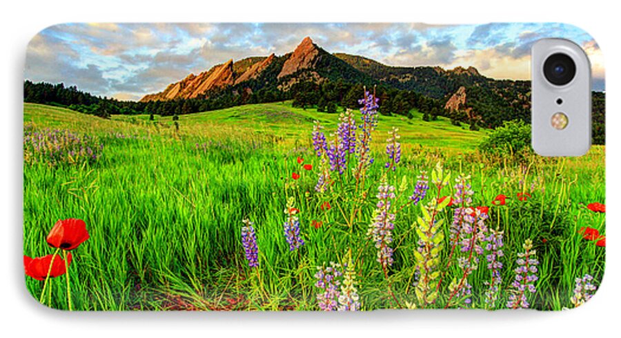 Wildflowers iPhone 8 Case featuring the photograph Wildflower Mix by Scott Mahon