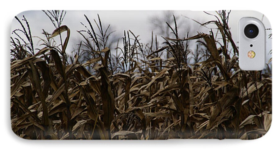 Corn iPhone 8 Case featuring the photograph Wind Blown by Linda Shafer