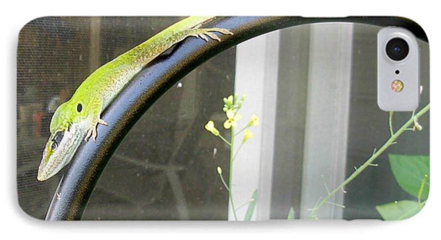 Winning Anole iPhone 8 Case featuring the photograph Winning Anole by Jeanne Juhos