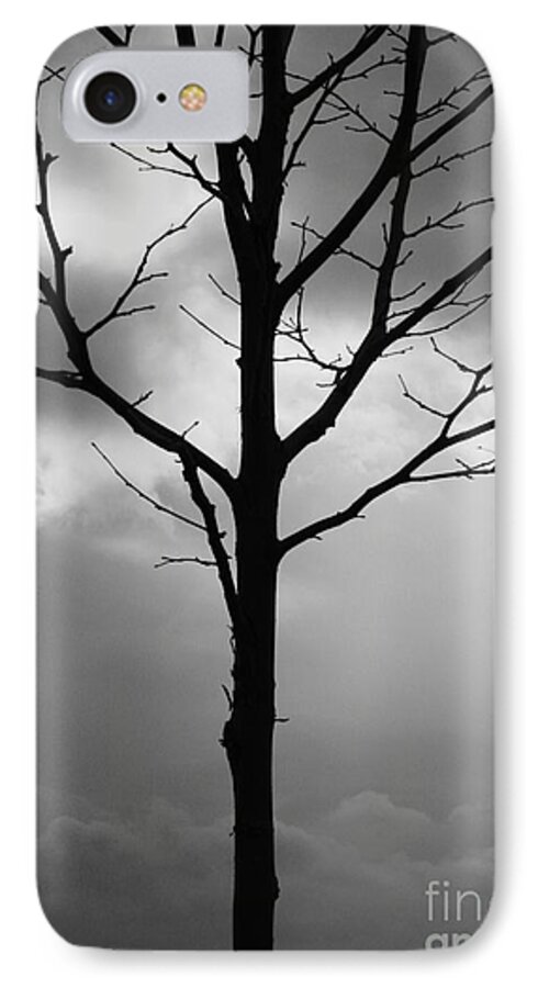 Winter Tree iPhone 8 Case featuring the photograph Winter Tree by Carol Groenen