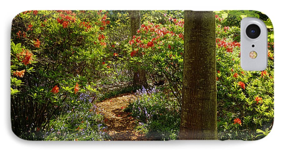 Rhododendrons iPhone 8 Case featuring the photograph Woodland Path with Rhododendrons by Maria Janicki