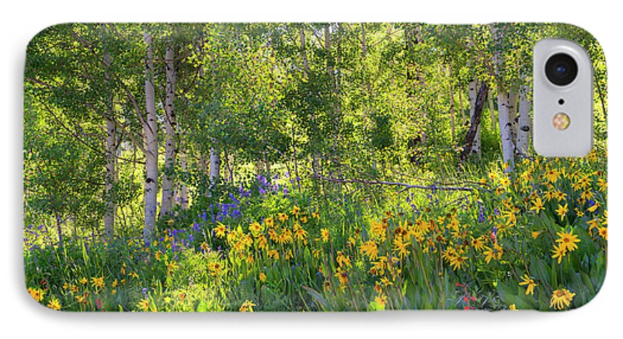 Wildflowers iPhone 8 Case featuring the photograph Woodland Wildflowers by Tim Reaves