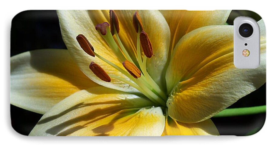Flower iPhone 8 Case featuring the photograph Yellow Lily by Corinne Elizabeth Cowherd