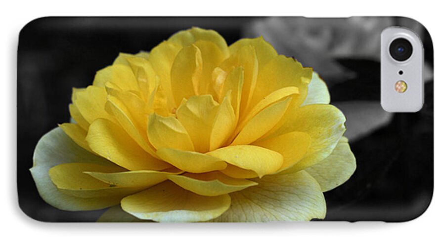 Rose iPhone 8 Case featuring the photograph Yellow Rose In Bloom by Smilin Eyes Treasures