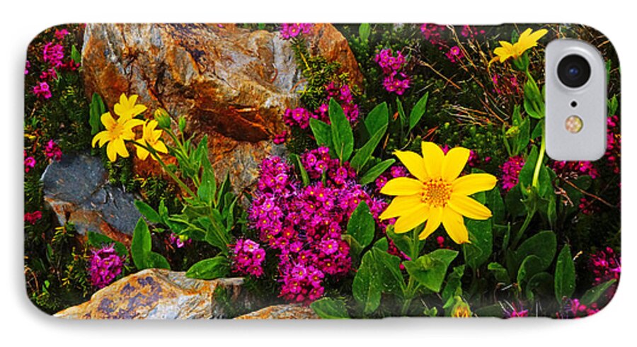 Wildflowers iPhone 8 Case featuring the photograph Yosemite Wildflowers by Lawrence S Richardson Jr