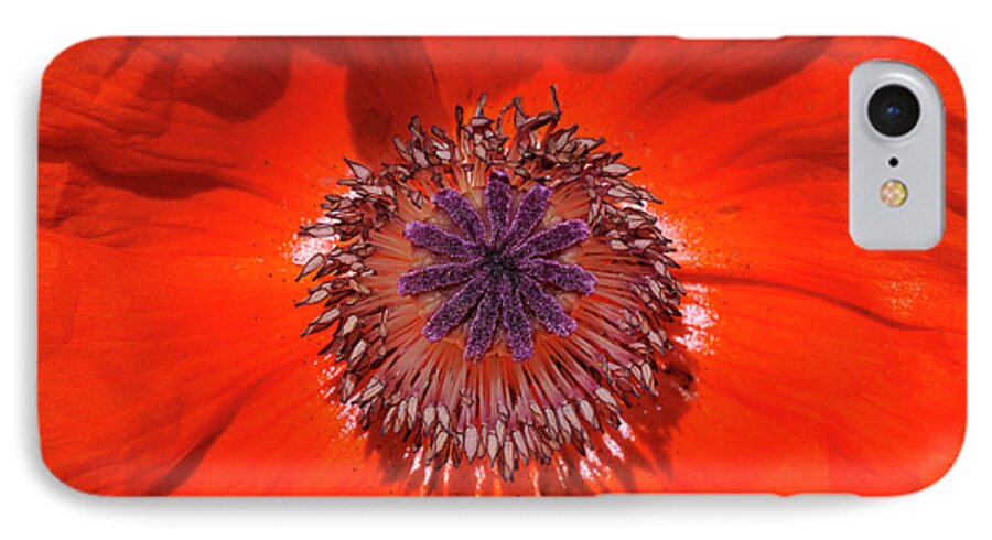 Orange iPhone 8 Case featuring the photograph Orange Poppy by Roger Snyder