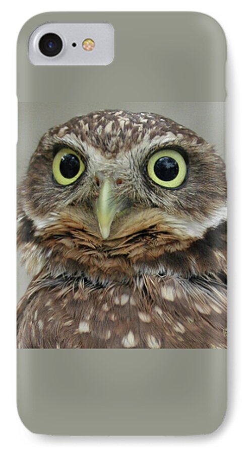 Bird iPhone 8 Case featuring the photograph Portrait Of Burrowing Owl by Ben and Raisa Gertsberg