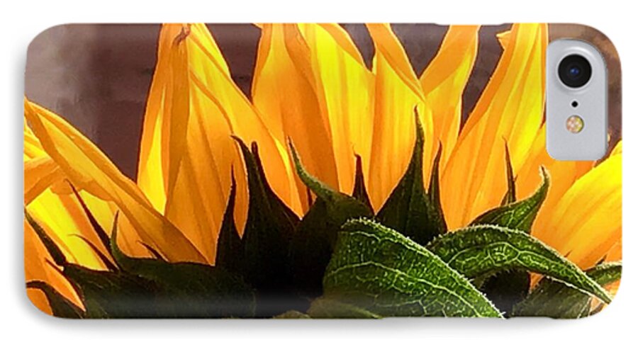 Sunflower iPhone 8 Case featuring the photograph Sunflower Sunshine by Joan-Violet Stretch
