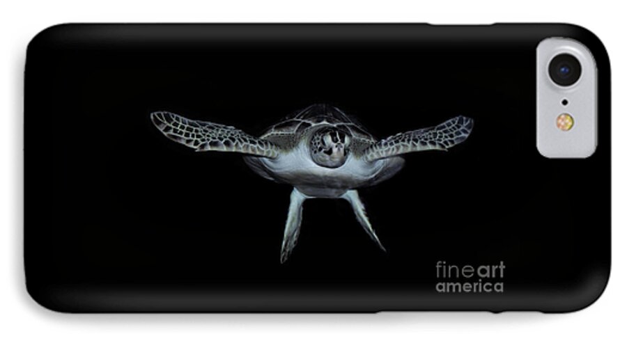 Atlantic Ridley Sea Turtle iPhone 8 Case featuring the photograph Sea Turtle #1 by Savannah Gibbs