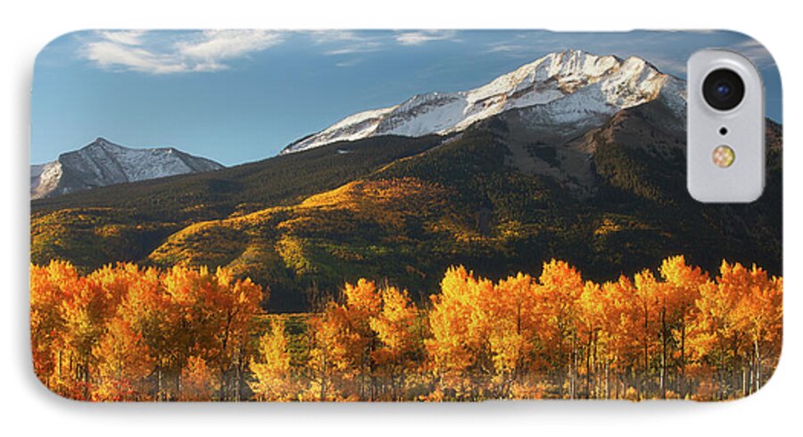 Aspen iPhone 8 Case featuring the photograph Colorado Gold by Darren White