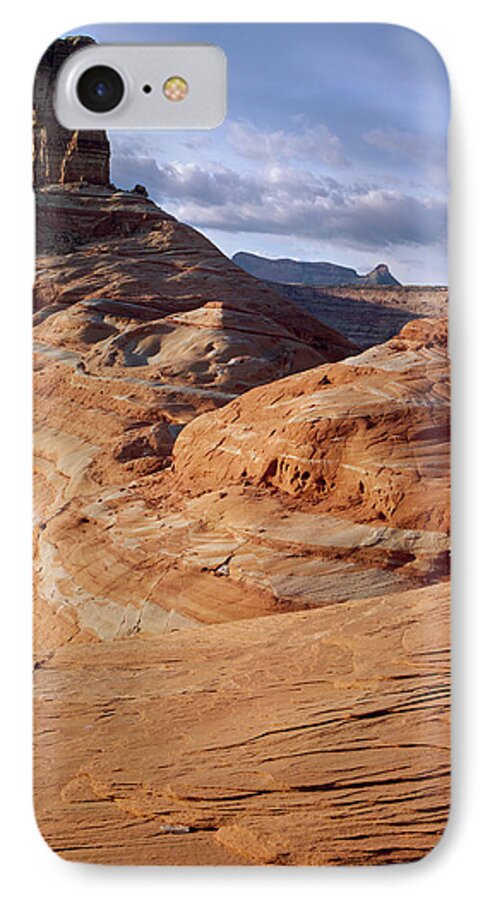 Arizona iPhone 8 Case featuring the photograph Cookie Jar by Tom Daniel