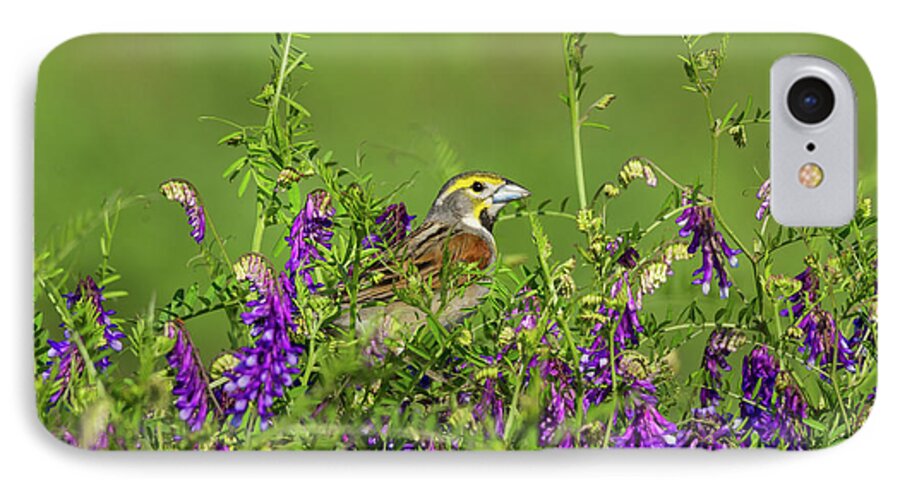 Birds iPhone 8 Case featuring the photograph Dickcissel - 8256 by Jerry Owens