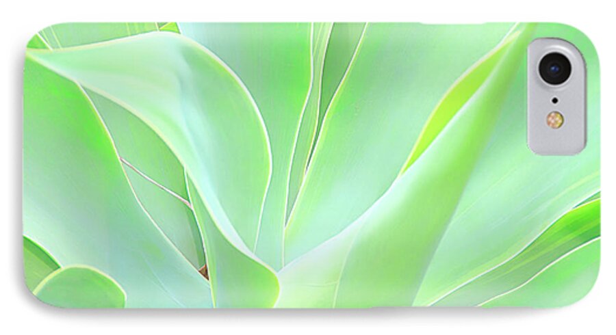 David Lawson Photography iPhone 8 Case featuring the photograph Dwarf Agave by David Lawson